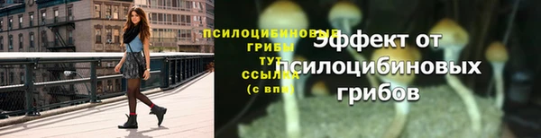стаф Балахна