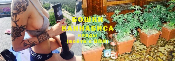 стаф Балахна