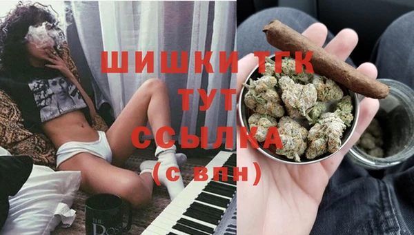 стаф Балахна