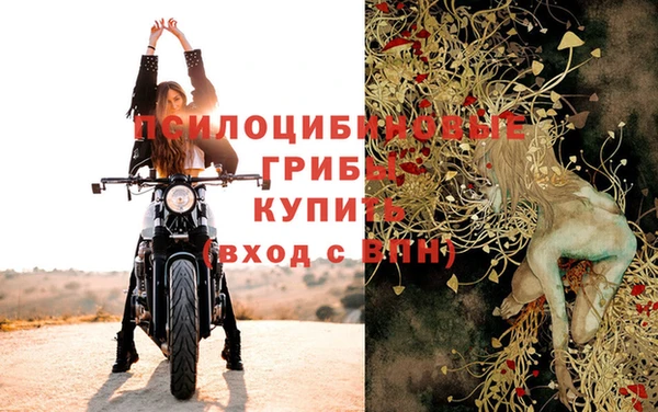 стаф Балахна