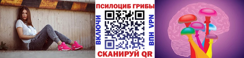 МЕГА как зайти  Корсаков  Галлюциногенные грибы прущие грибы 